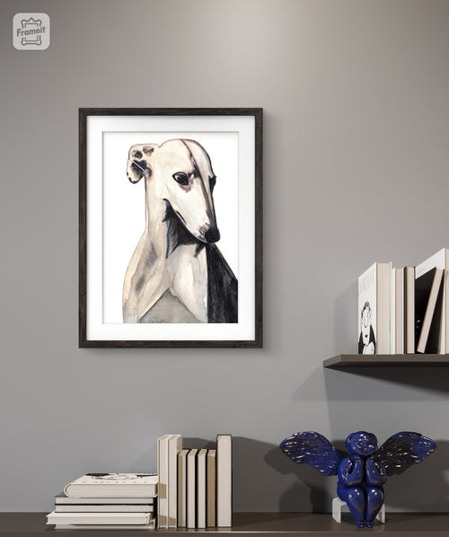 Acuarela Galgo