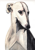 Print acuarela Galgo | Pe&Pe Arts
