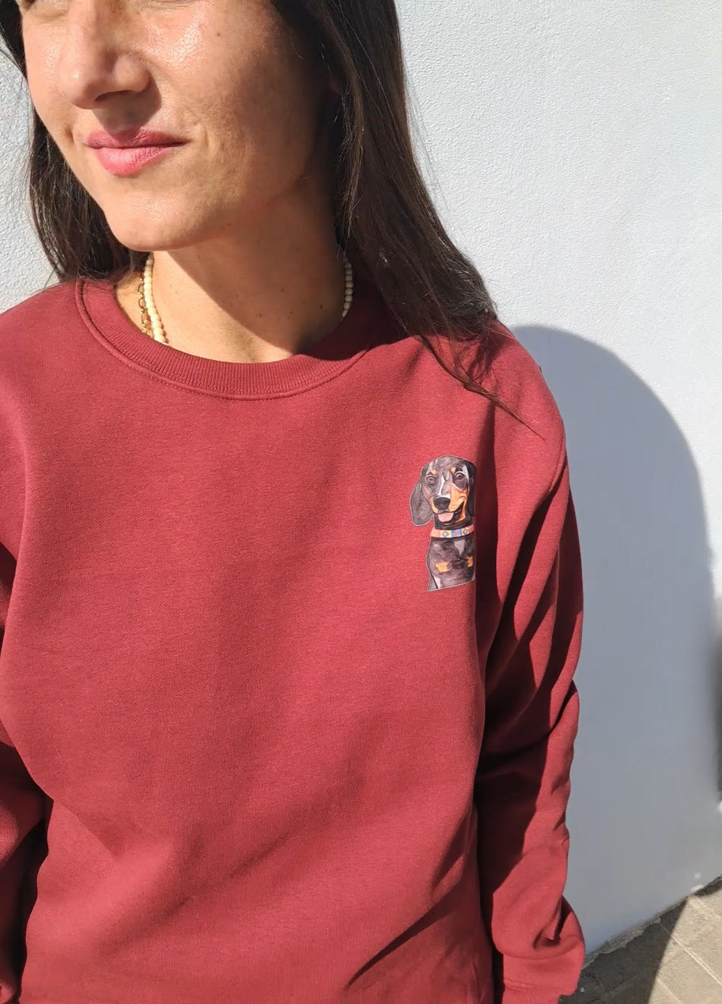 Sudadera Teckel