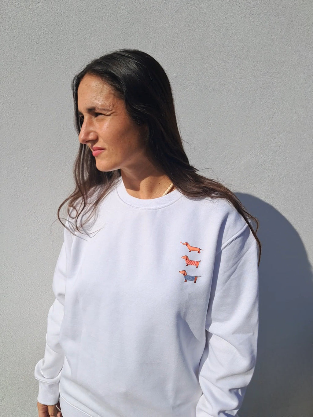 Sudadera Familia Salchicha | PeandPe Arts