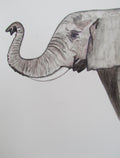 Acuarela Elefante