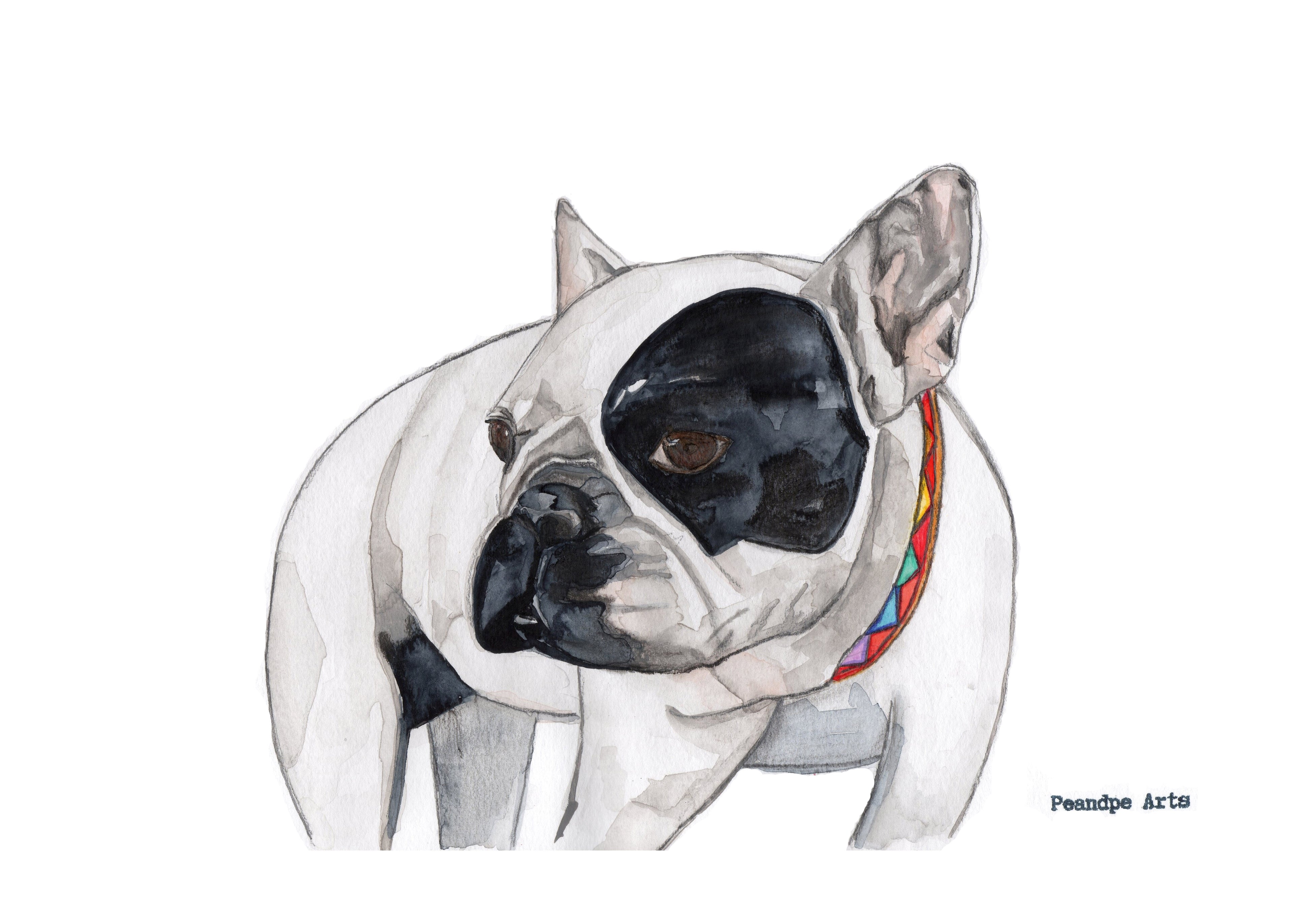 Print Bulldog Francés